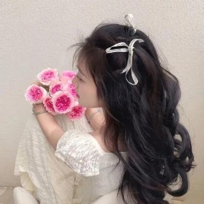 风流总统