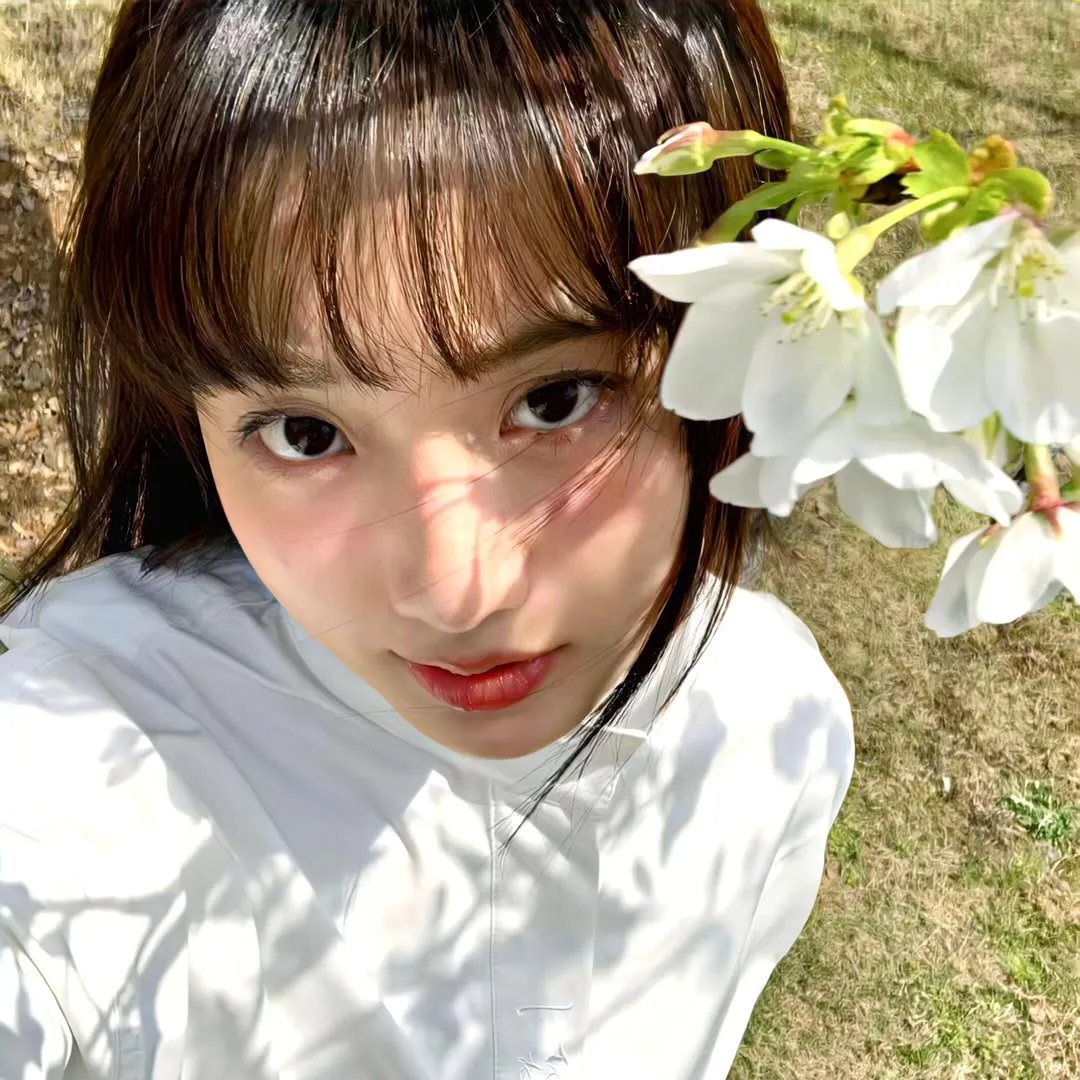 金车美人
