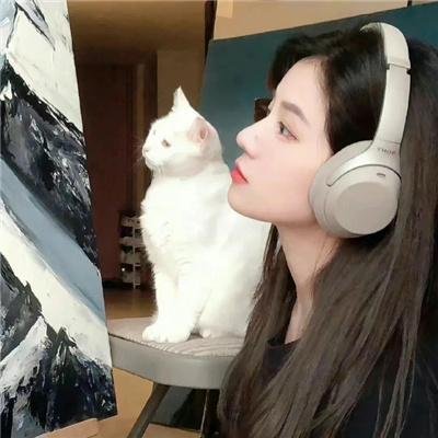 风骚律师第四季